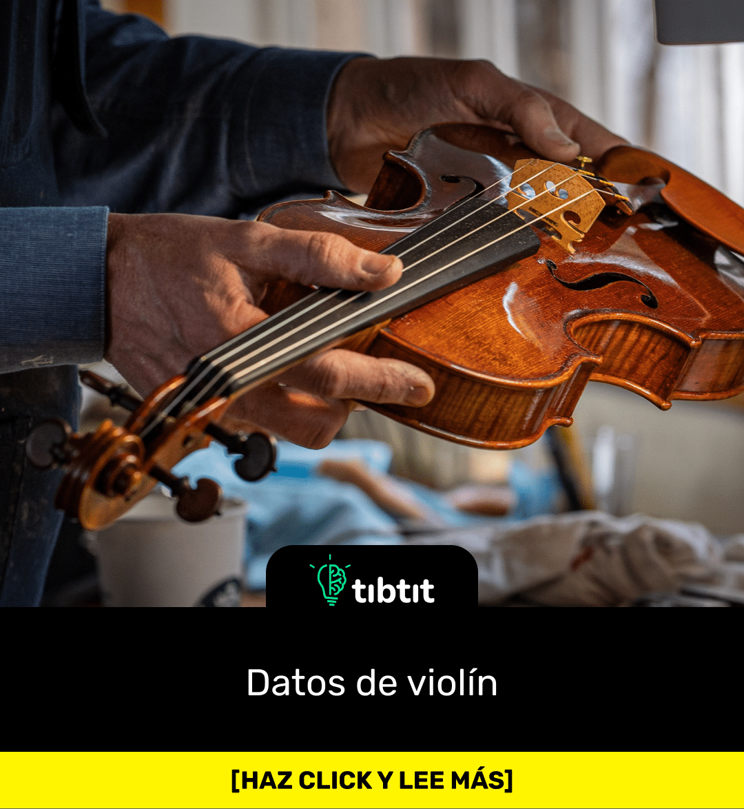 Sabías que Datos de violín Curiosidades Datos curiosos Los datos