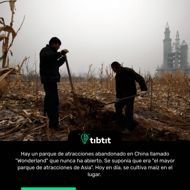 Hay un parque de atracciones abandonado en China llamado "Wonderland" que nunca ha abierto. Se suponía que era "el mayor parque de atracciones de Asia". Hoy en día, se cultiva maíz en el lugar.
