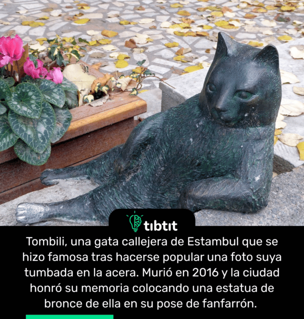 Tombili, una gata callejera de Estambul que se hizo famosa tras hacerse popular una foto suya tumbada en la acera. Murió en 2016 y la ciudad honró su memoria colocando una estatua de bronce de ella en su pose de fanfarrón.