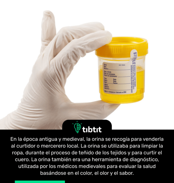 En la época antigua y medieval, la orina se recogía para venderla al curtidor o mercerero local. La orina se utilizaba para limpiar la ropa, durante el proceso de teñido de los tejidos y para curtir el cuero. La orina también era una herramienta de diagnóstico, utilizada por los médicos medievales para evaluar la salud basándose en el color, el olor y el sabor.