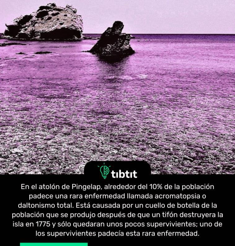 En el atolón de Pingelap, alrededor del 10% de la población padece una rara enfermedad llamada acromatopsia o daltonismo total. Está causada por un cuello de botella de la población que se produjo después de que un tifón destruyera la isla en 1775 y sólo quedaran unos pocos supervivientes; uno de los supervivientes padecía esta rara enfermedad.