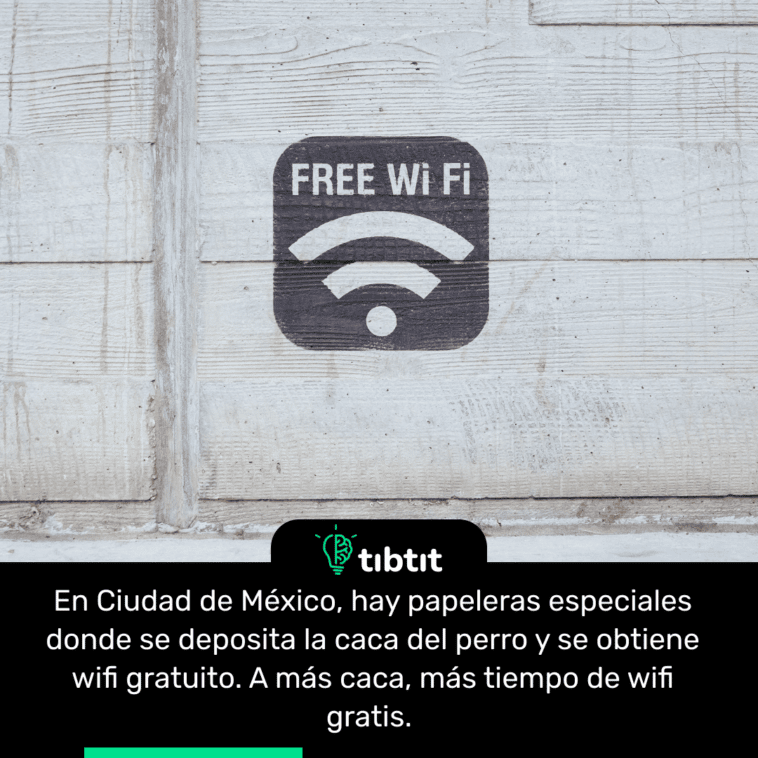En Ciudad de México, hay papeleras especiales donde se deposita la caca del perro y se obtiene wifi gratuito. A más caca, más tiempo de wifi gratis.