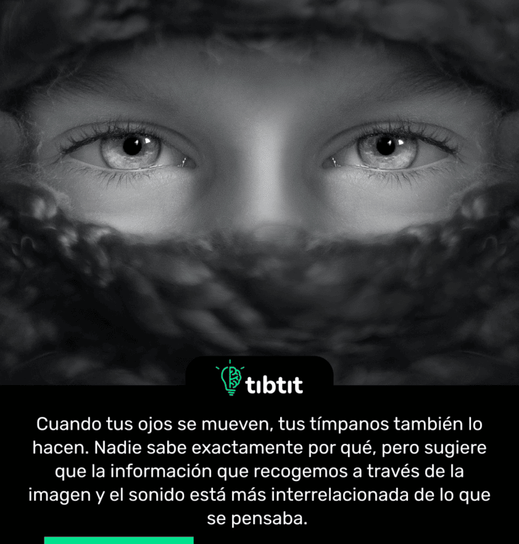 Cuando tus ojos se mueven, tus tímpanos también lo hacen. Nadie sabe exactamente por qué, pero sugiere que la información que recogemos a través de la imagen y el sonido está más interrelacionada de lo que se pensaba.