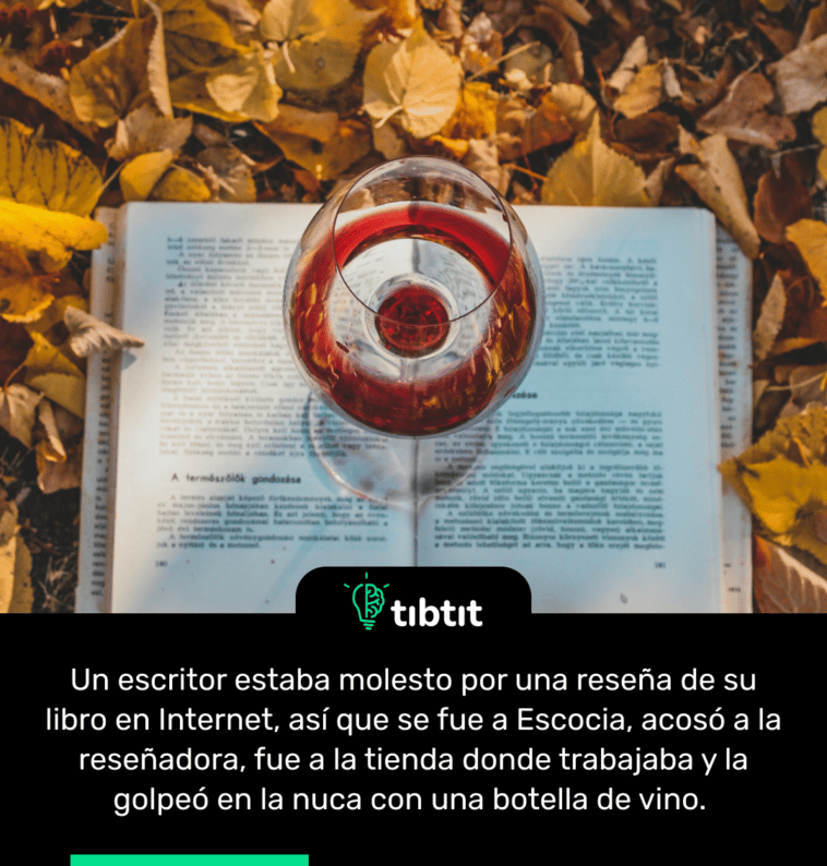 Un escritor estaba molesto por una reseña de su libro en Internet, así que se fue a Escocia, acosó a la reseñadora, fue a la tienda donde trabajaba y la golpeó en la nuca con una botella de vino.