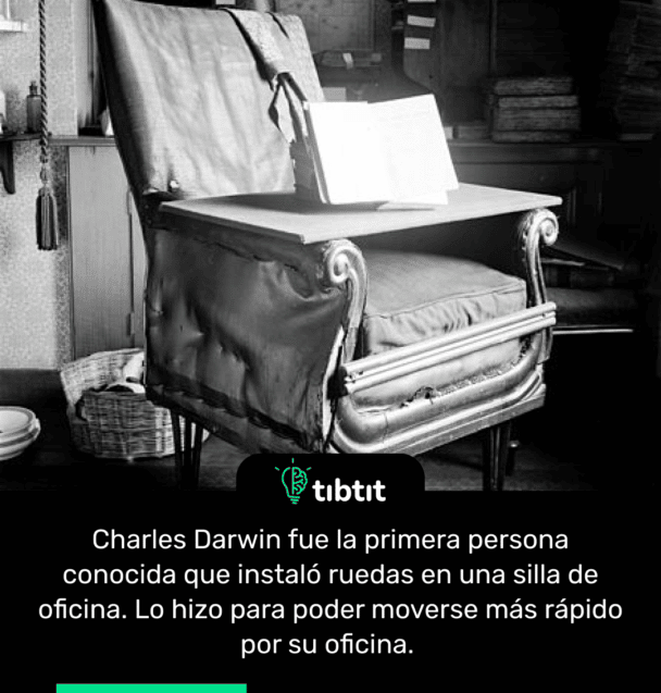 Charles Darwin fue la primera persona conocida que instaló ruedas en una silla de oficina. Lo hizo para poder moverse más rápido por su oficina.