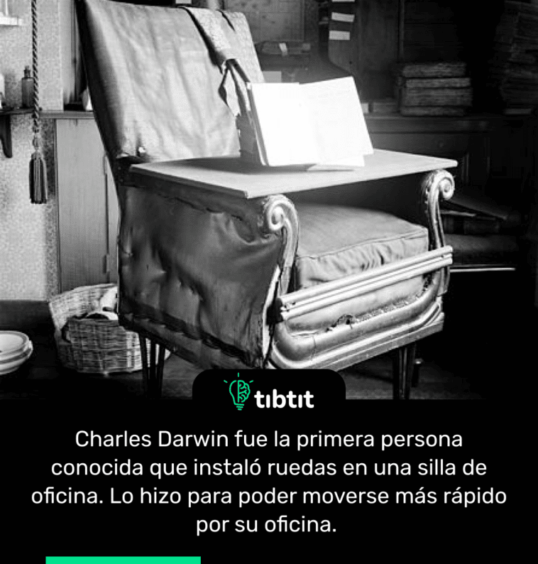 Charles Darwin fue la primera persona conocida que instaló ruedas en una silla de oficina. Lo hizo para poder moverse más rápido por su oficina.