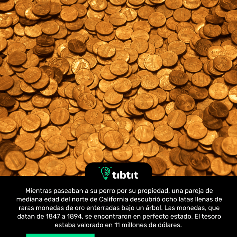 Mientras paseaban a su perro por su propiedad, una pareja de mediana edad del norte de California descubrió ocho latas llenas de raras monedas de oro enterradas bajo un árbol. Las monedas, que datan de 1847 a 1894, se encontraron en perfecto estado. El tesoro estaba valorado en 11 millones de dólares.