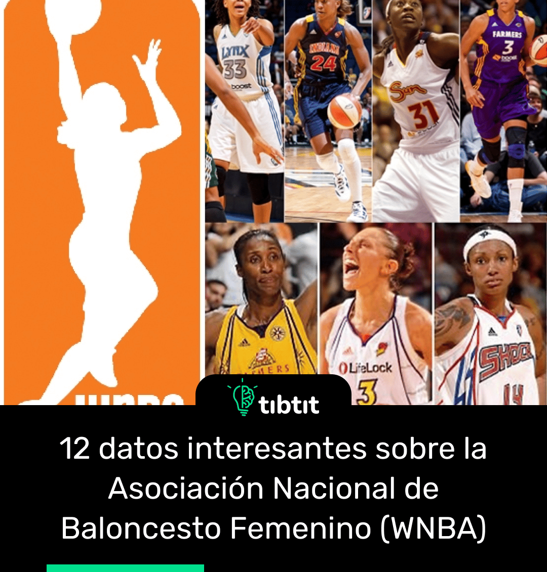 12 datos interesantes sobre la Asociación Nacional de Baloncesto Femenino  (WNBA) | Curiosidades & Datos curiosos | Los datos y curiosidades más  divertidos del mundo 