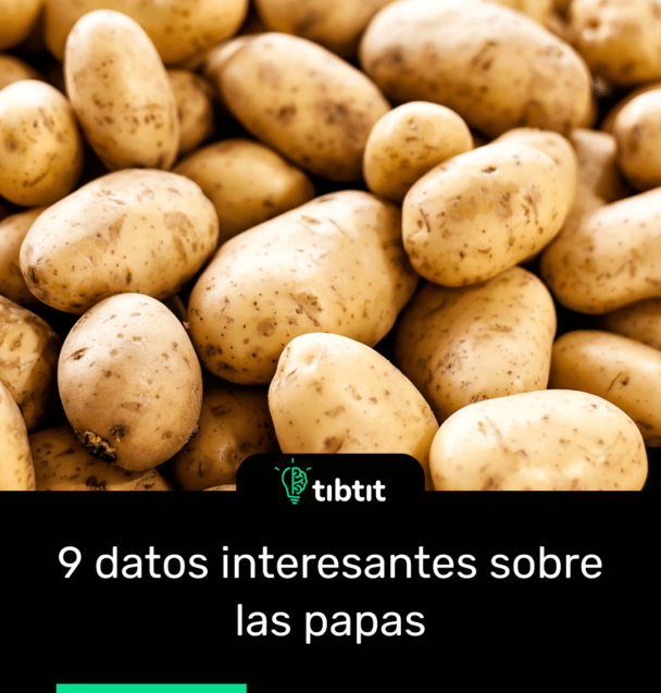 9 datos interesantes sobre las papas