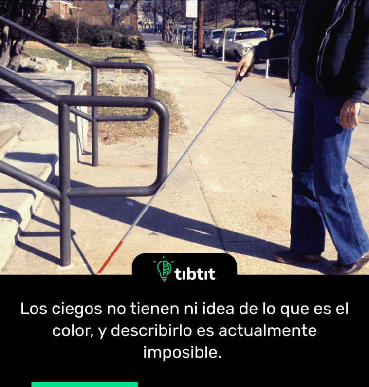 Los ciegos no tienen ni idea de lo que es el color, y describirlo es actualmente imposible.