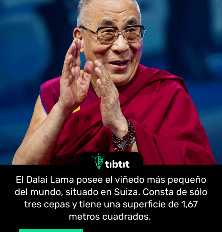 El Dalai Lama posee el viñedo más pequeño del mundo, situado en Suiza. Consta de sólo tres cepas y tiene una superficie de 1,67 metros cuadrados.