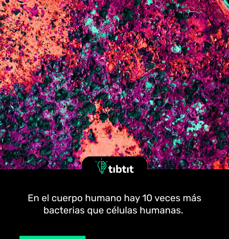 En el cuerpo humano hay 10 veces más bacterias que células humanas.