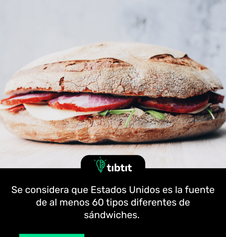 Se considera que Estados Unidos es la fuente de al menos 60 tipos diferentes de sándwiches.