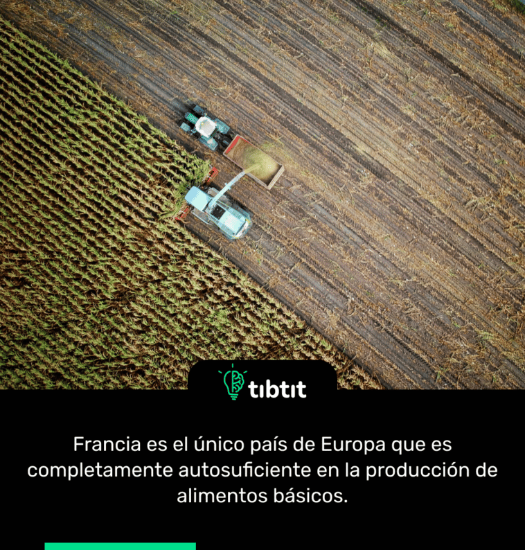 Francia es el único país de Europa que es completamente autosuficiente en la producción de alimentos básicos.
