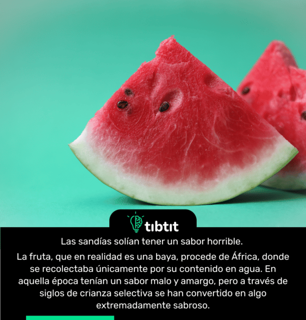 Las sandías solían tener un sabor horrible. La fruta, que en realidad es una baya, procede de África, donde se recolectaba únicamente por su contenido en agua. En aquella época tenían un sabor malo y amargo, pero a través de siglos de crianza selectiva se han convertido en algo extremadamente sabroso.