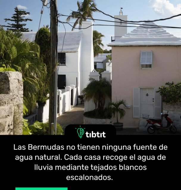 Las Bermudas no tienen ninguna fuente de agua natural. Cada casa recoge el agua de lluvia mediante tejados blancos escalonados.