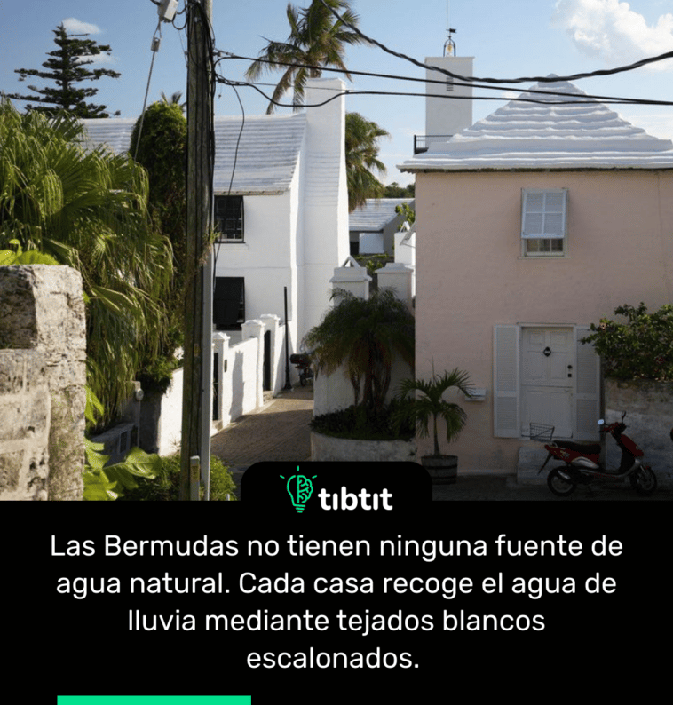 Las Bermudas no tienen ninguna fuente de agua natural. Cada casa recoge el agua de lluvia mediante tejados blancos escalonados.