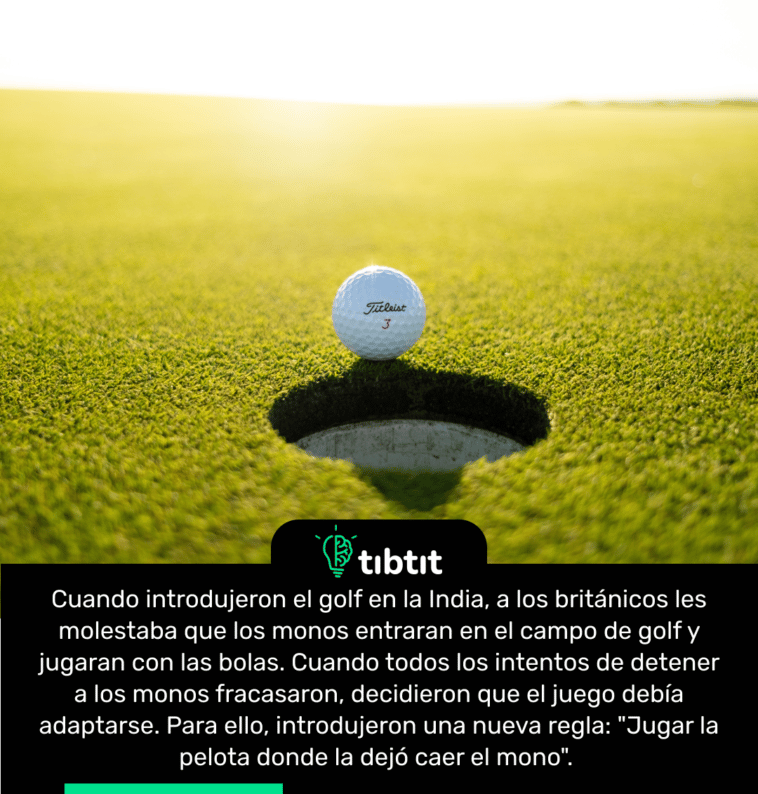 Cuando introdujeron el golf en la India, a los británicos les molestaba que los monos entraran en el campo de golf y jugaran con las bolas. Cuando todos los intentos de detener a los monos fracasaron, decidieron que el juego debía adaptarse. Para ello, introdujeron una nueva regla: "Jugar la pelota donde la dejó caer el mono".