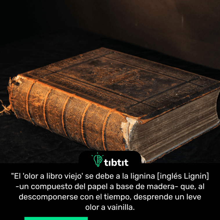 "El 'olor a libro viejo' se debe a la lignina [inglés Lignin] -un compuesto del papel a base de madera- que, al descomponerse con el tiempo, desprende un leve olor a vainilla.