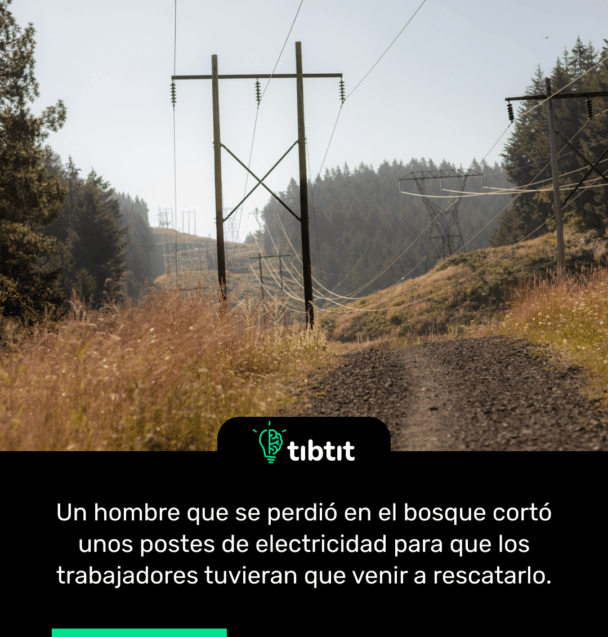 Un hombre que se perdió en el bosque cortó unos postes de electricidad para que los trabajadores tuvieran que venir a rescatarlo.