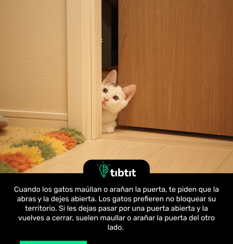 Cuando los gatos maúllan o arañan la puerta, te piden que la abras y la dejes abierta. Los gatos prefieren no bloquear su territorio. Si les dejas pasar por una puerta abierta y la vuelves a cerrar, suelen maullar o arañar la puerta del otro lado.