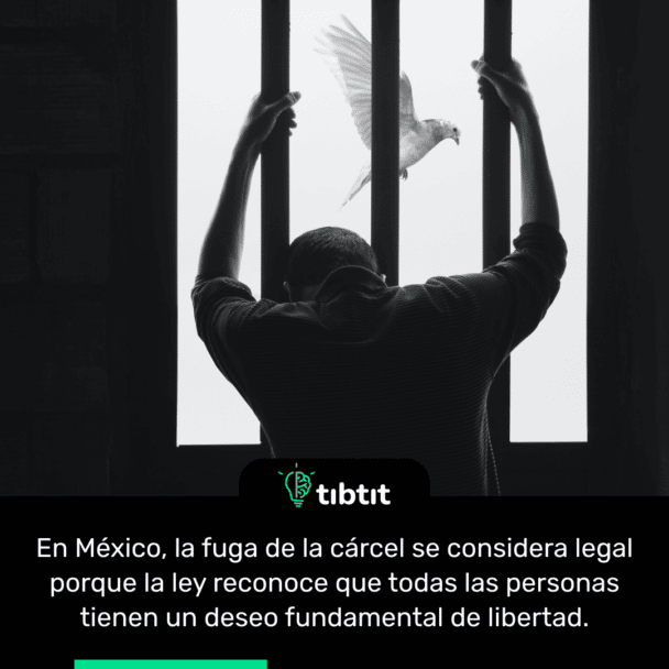 En México, la fuga de la cárcel se considera legal porque la ley reconoce que todas las personas tienen un deseo fundamental de libertad.