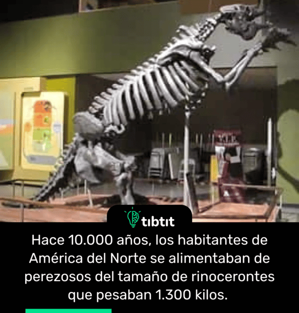 Hace 10.000 años, los habitantes de América del Norte se alimentaban de perezosos del tamaño de rinocerontes que pesaban 1.300 kilos.