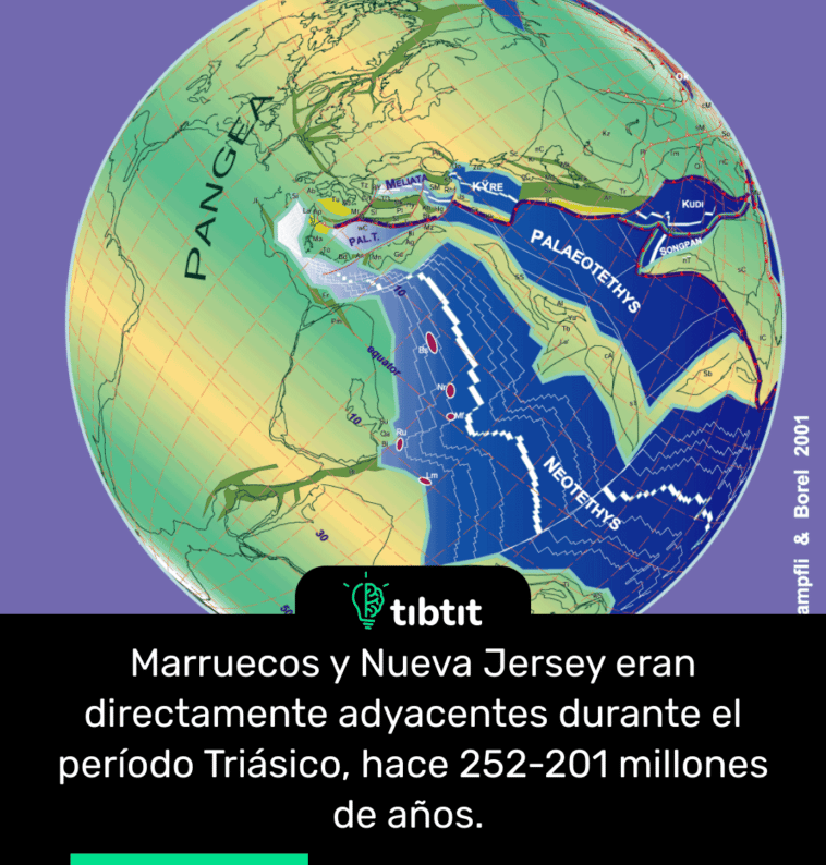 Marruecos y Nueva Jersey eran directamente adyacentes durante el período Triásico, hace 252-201 millones de años.