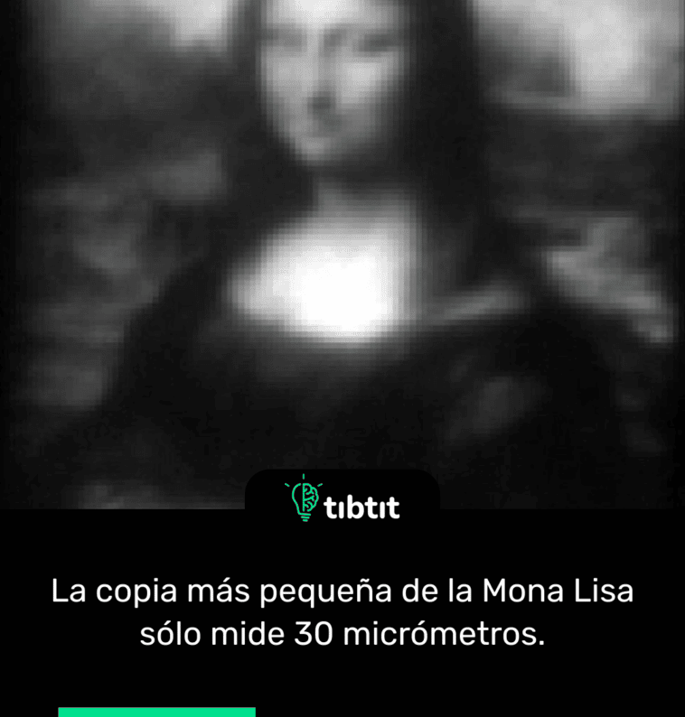 La copia más pequeña de la Mona Lisa sólo mide 30 micrómetros.