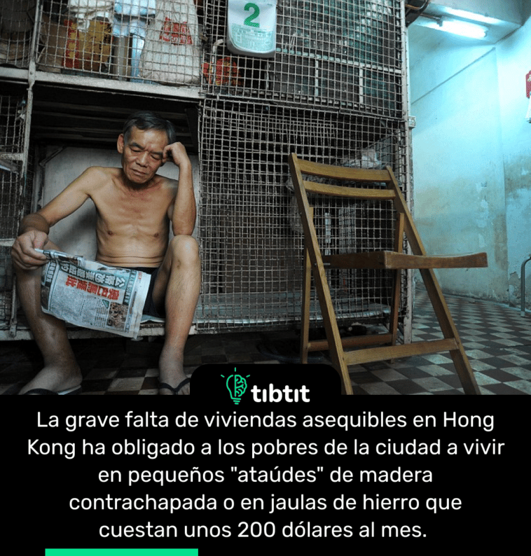 La  ha obligado a los pobres de la ciudad a vivir en pequeños "ataúdes" de madera contrachapada o en jaulas de hierro que cuestan unos 200 dólares al mes.