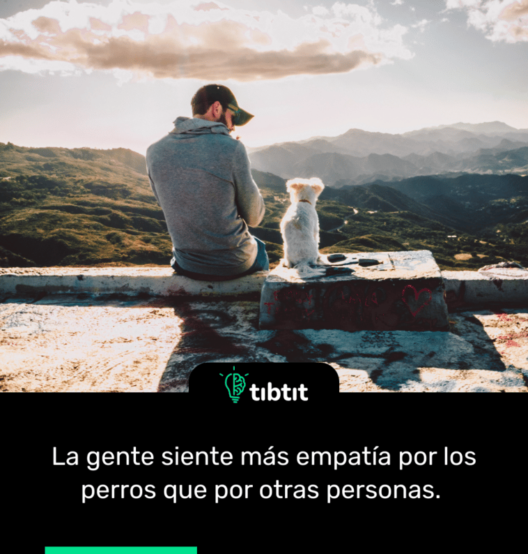 La gente siente más empatía por los perros que por otras personas.