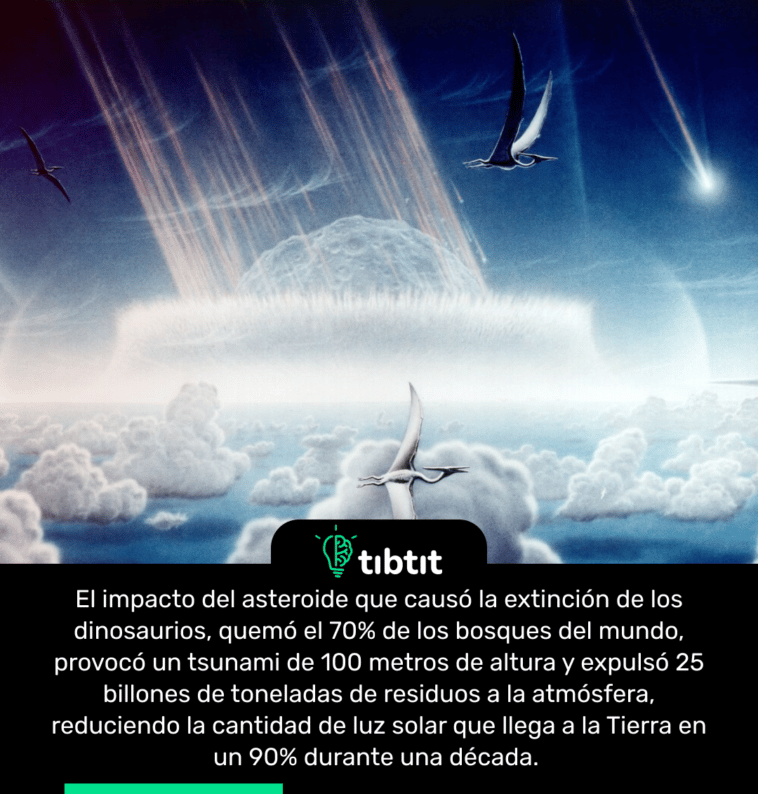 El impacto del asteroide que causó la extinción de los dinosaurios, quemó el 70% de los bosques del mundo, provocó un tsunami de 100 metros de altura y expulsó 25 billones de toneladas de residuos a la atmósfera, reduciendo la cantidad de luz solar que llega a la Tierra en un 90% durante una década.