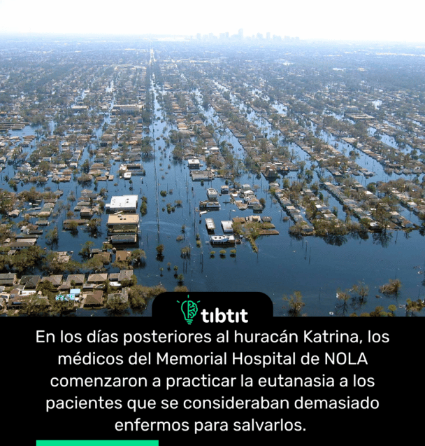 los días posteriores al huracán Katrina