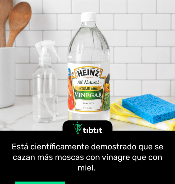 Está científicamente demostrado que se cazan más moscas con vinagre que con miel.