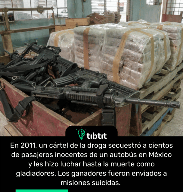 En 2011, un cártel de la droga secuestró a cientos de pasajeros inocentes de un autobús en México y les hizo luchar hasta la muerte como gladiadores. Los ganadores fueron enviados a misiones suicidas.