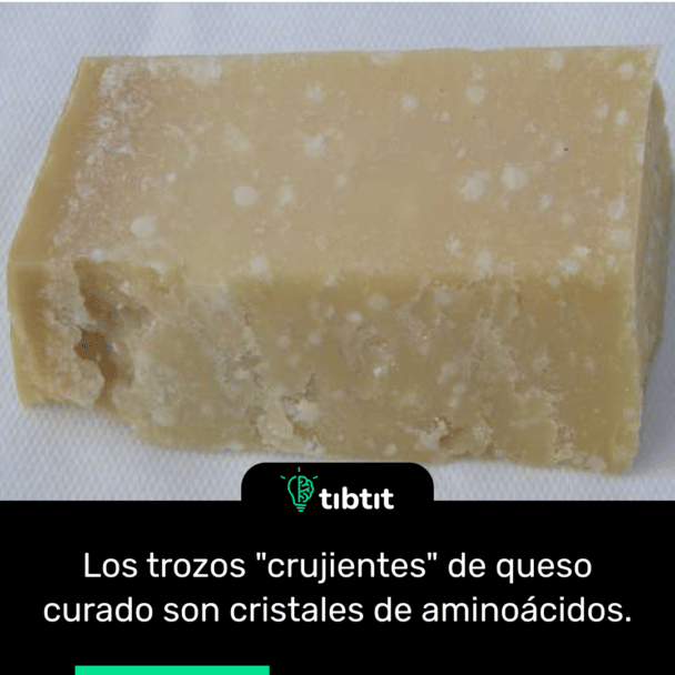 Los trozos "crujientes" de queso curado son cristales de aminoácidos.