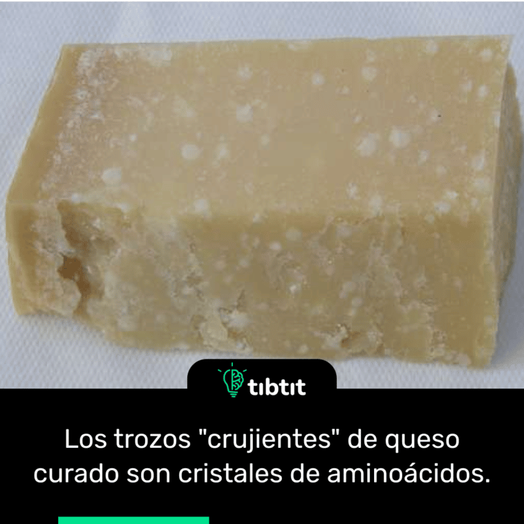 Los trozos "crujientes" de queso curado son cristales de aminoácidos.