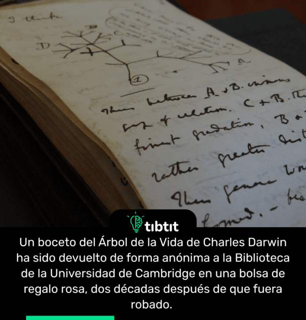 Un boceto del Árbol de la Vida de Charles Darwin ha sido devuelto de forma anónima a la Biblioteca de la Universidad de Cambridge en una bolsa de regalo rosa, dos décadas después de que fuera robado.