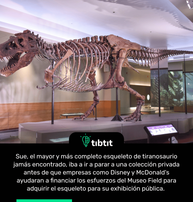 Sue, el mayor y más completo esqueleto de tiranosaurio jamás encontrado, iba a ir a parar a una colección privada antes de que empresas como Disney y McDonald's ayudaran a financiar los esfuerzos del Museo Field para adquirir el esqueleto para su exhibición pública.