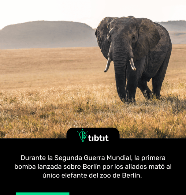 Durante la Segunda Guerra Mundial,