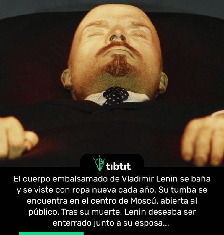 El cuerpo embalsamado de Vladimir Lenin se baña y se viste con ropa nueva cada año. Su tumba se encuentra en el centro de Moscú, abierta al público. Tras su muerte, Lenin deseaba ser enterrado junto a su esposa...