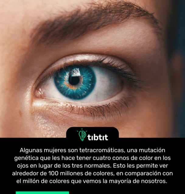 Algunas mujeres son tetracromáticas, una mutación genética que les hace tener cuatro conos de color en los ojos en lugar de los tres normales. Esto les permite ver alrededor de 100 millones de colores, en comparación con el millón de colores que vemos la mayoría de nosotros.