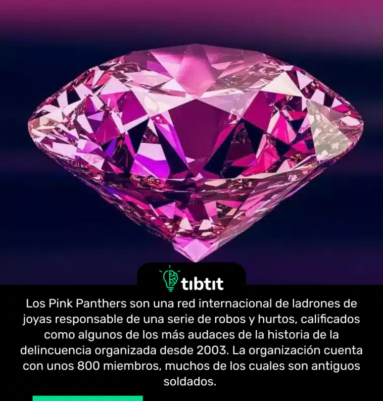 Los Pink Panthers son una red internacional de ladrones de joyas responsable de una serie de robos y hurtos, calificados como algunos de los más audaces de la historia de la delincuencia organizada desde 2003. La organización cuenta con unos 800 miembros, muchos de los cuales son antiguos soldados.
