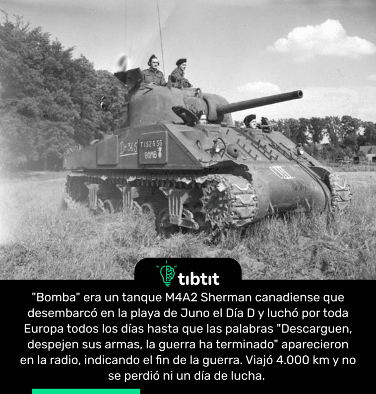 "Bomba" era un tanque M4A2 Sherman canadiense que desembarcó en la playa de Juno el Día D y luchó por toda Europa todos los días hasta que las palabras "Descarguen, despejen sus armas, la guerra ha terminado" aparecieron en la radio, indicando el fin de la guerra. Viajó 4.000 km y no se perdió ni un día de lucha.