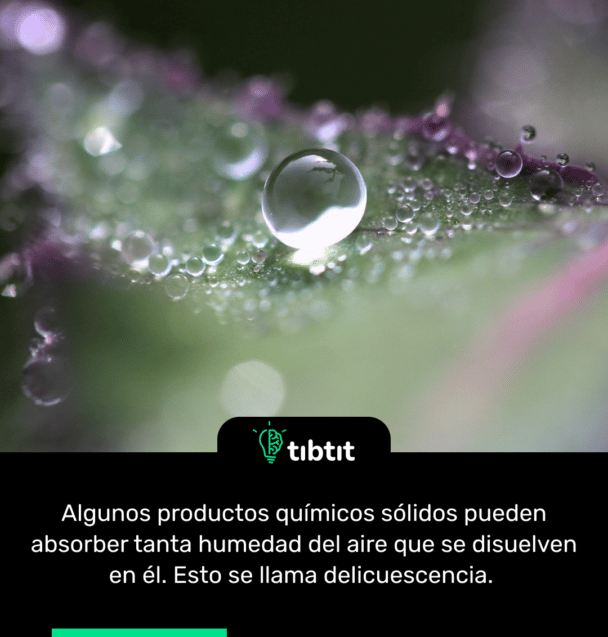 Algunos productos químicos sólidos pueden absorber tanta humedad del aire que se disuelven en él. Esto se llama delicuescencia.