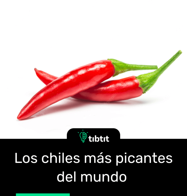 Los chiles más picantes del mundo