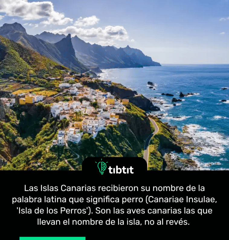 Las Islas Canarias recibieron su nombre de la palabra latina que significa perro (Canariae Insulae, 'Isla de los Perros'). Son las aves canarias las que llevan el nombre de la isla, no al revés.