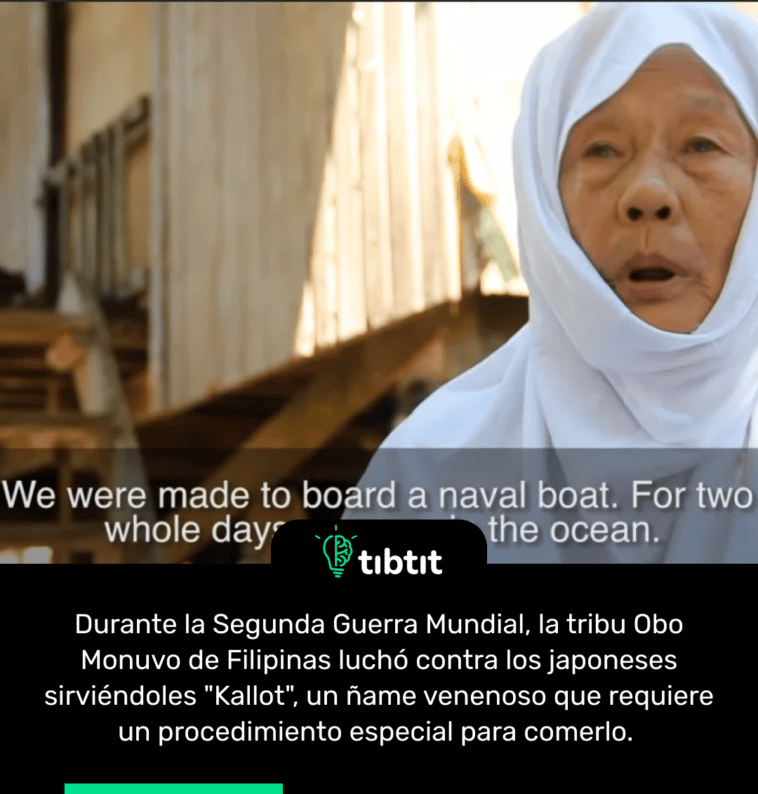 Durante la Segunda Guerra Mundial, la tribu Obo Monuvo de Filipinas luchó contra los japoneses sirviéndoles "Kallot", un ñame venenoso que requiere un procedimiento especial para comerlo.