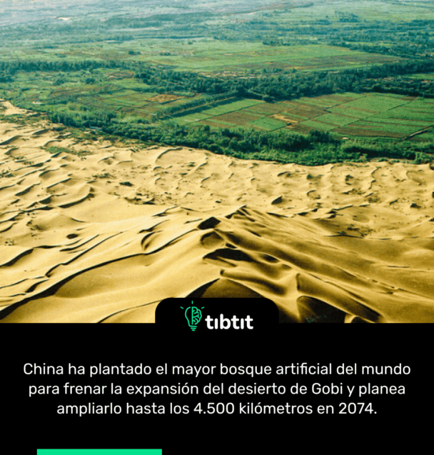 China ha plantado el mayor bosque artificial del mundo para frenar la expansión del desierto de Gobi y planea ampliarlo hasta los 4.500 kilómetros en 2074.