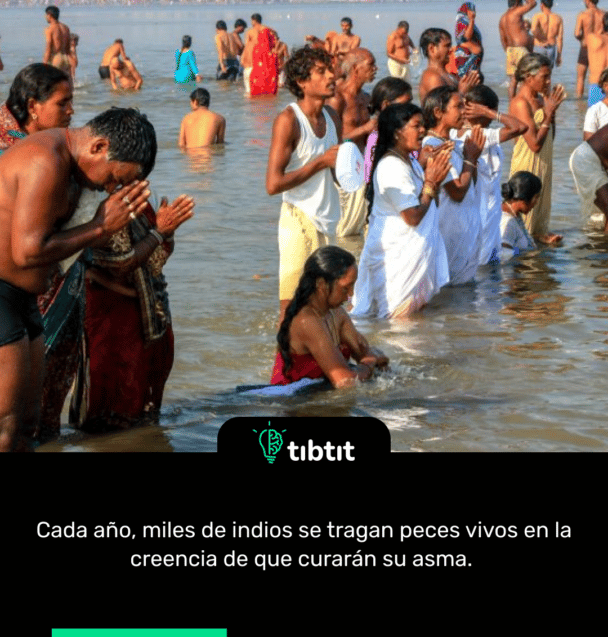 Cada año, miles de indios se tragan peces vivos en la creencia de que curarán su asma.